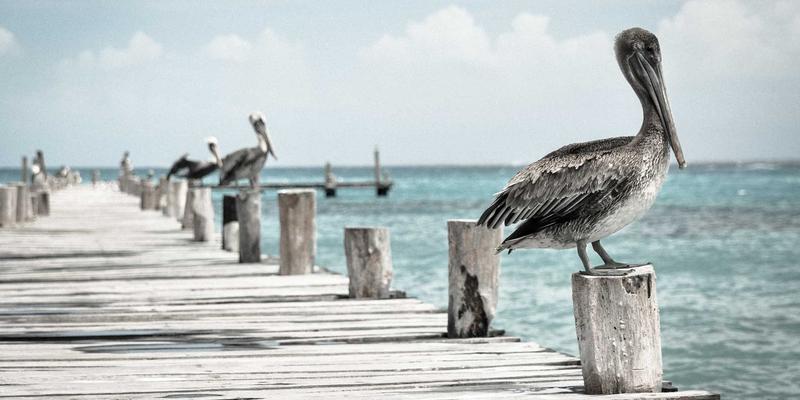 WooCommerce vs Shopify Comparison for Small Business E-commerce