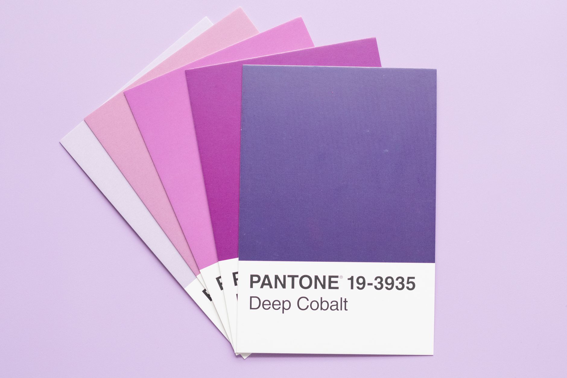 Colour palette swatches for website and brand design